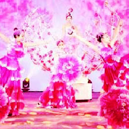 合风演艺 专业演出经纪，点亮舞台艺术之光